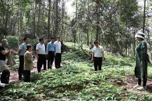 剑河县“四措施”推进旅游与民族医药融合高质量发展