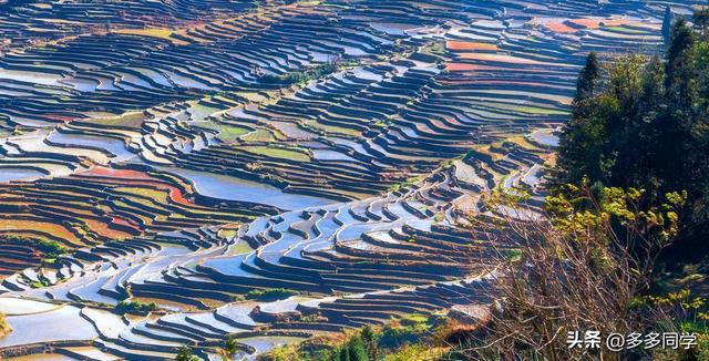 哀牢山的哈尼山寨：立秋了，梯田、歌声、泥巴仗里藏着最野的诗意