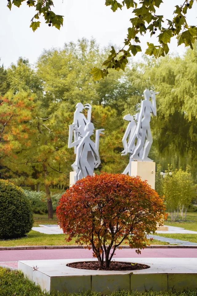 收藏一个秋天,石景山绝美秋色大公开