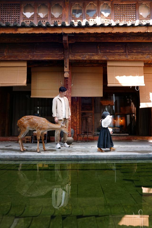 春节宝藏旅行地大赏：全家同行，让冬日暖意不留白