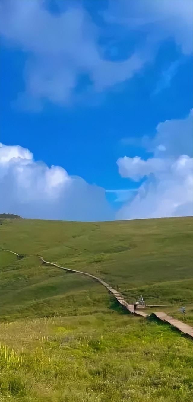 你可能不认识我，但你我一定有关！