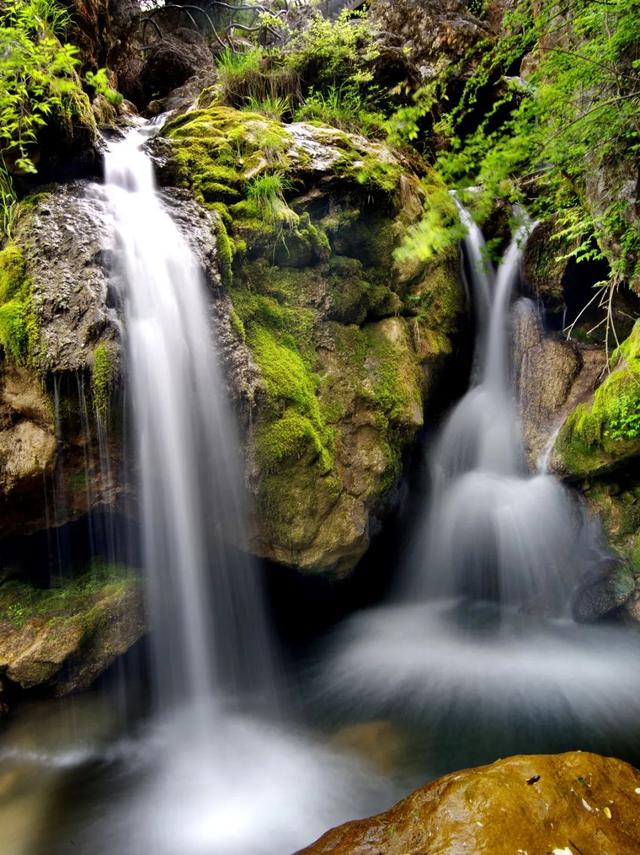 肖娴：马蹄和茶记住的古道