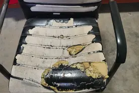 名师工作室一男一女被偷拍，七分钟不雅视频流出，两人身份成疑图片