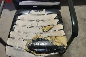 名师工作室一男一女被偷拍，七分钟不雅视频流出，两人身份成疑图片