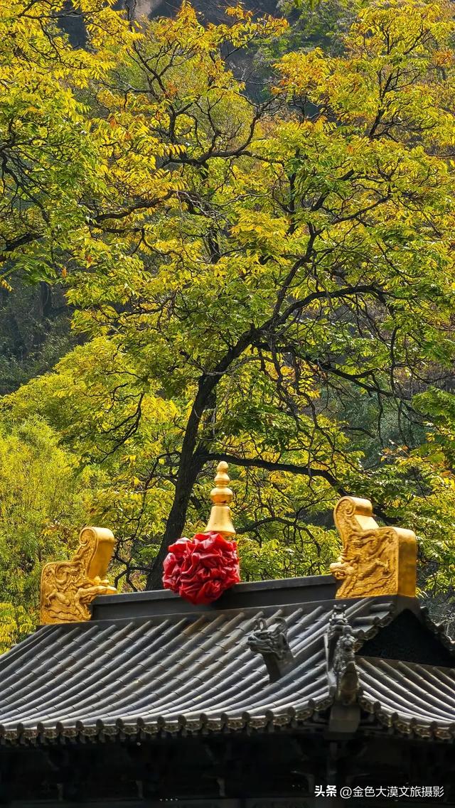 秋染五泉山:兰州城畔的千年诗意与一季斑斓