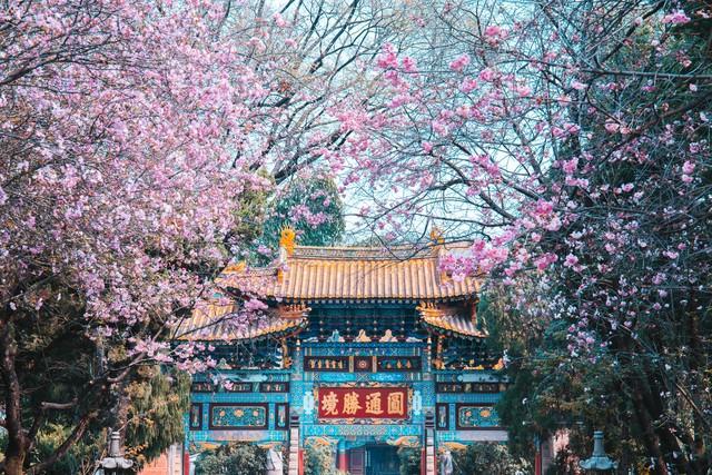 花影春城:昆明漫记