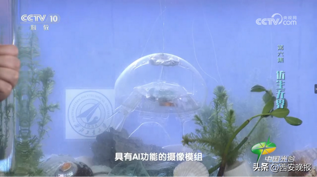 西工大新成果，仅重一两！