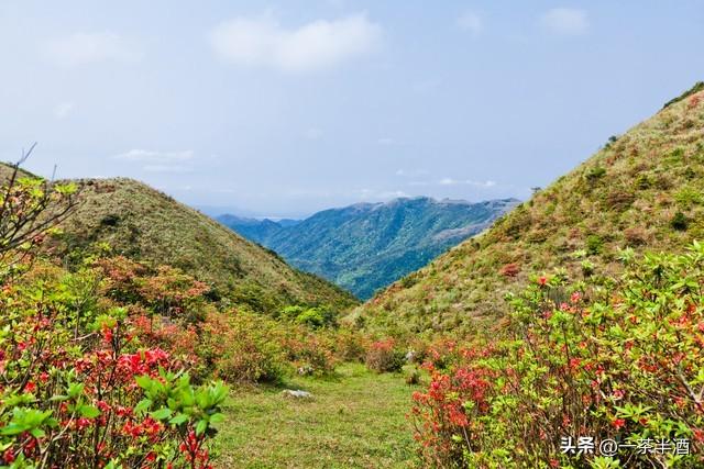 广东云浮市自驾游必看！免费营地，主要景点，特色美食一网打尽