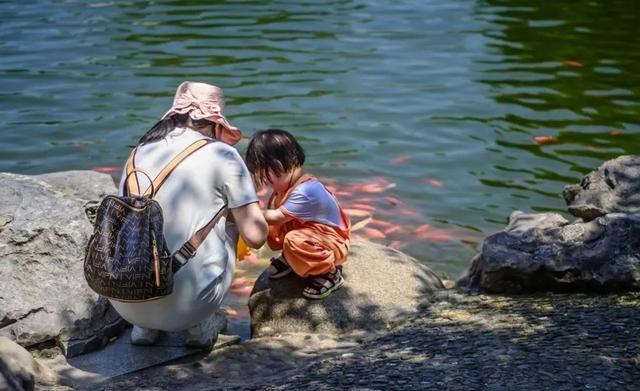 李白当年的“朋友圈”，你还不来点个赞？