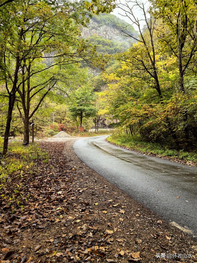 2025辽宁赏秋之旅日记(2)——游览丹东蒲石河森林公园