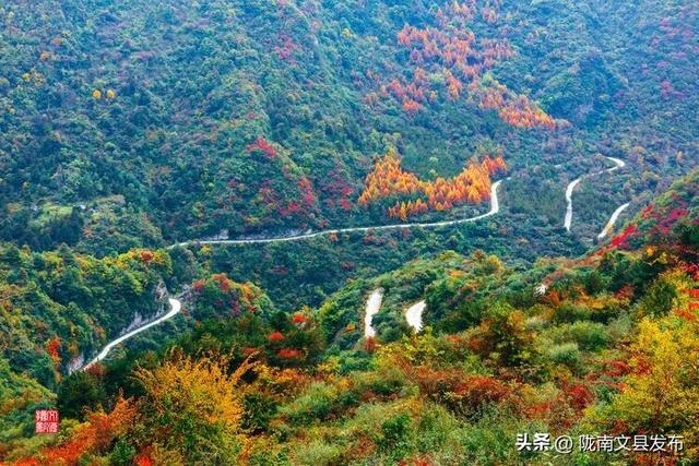 醉美文县：秋色斑斓大岭梁