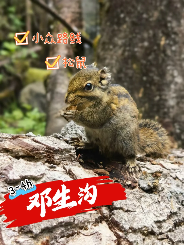 成都2.5h的“卧龙小九寨”，我找到了野生徒步最佳路径！