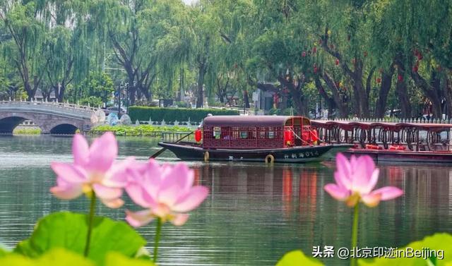 从通惠河到什刹海:运河尽头的荷香市集