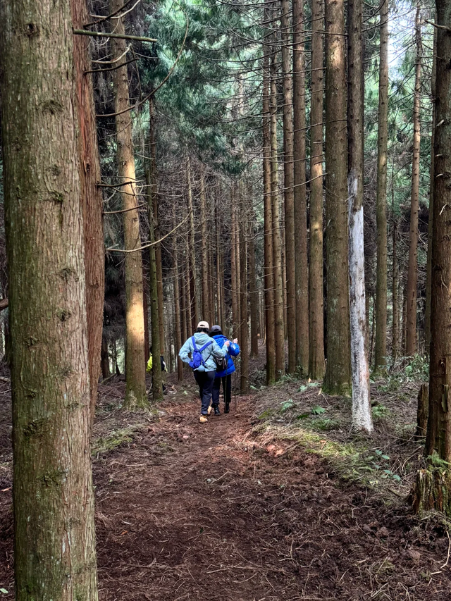 成都2h的新徒步路线，野趣十足、新手友好，免门票免停车费快冲！