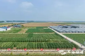 管好“田间”守护“舌尖”，武汉经开区成功创建省级农产品质量安全区图片