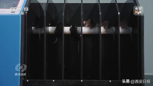 中国航天奏响新乐章 神二十一有接力更有突破！