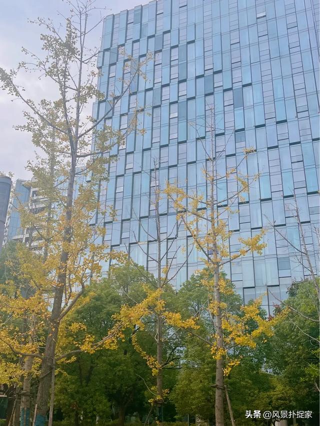 南昌的晚秋,风景美如画