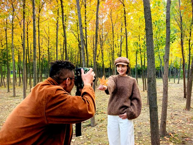 一眼沦陷！快去这片枫林秘境打卡最美秋天