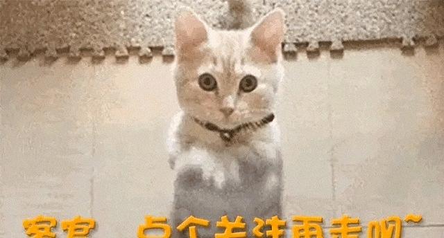 26年央视春晚定调！总导演人选仍在等官宣，赵本山陈佩斯呼声高