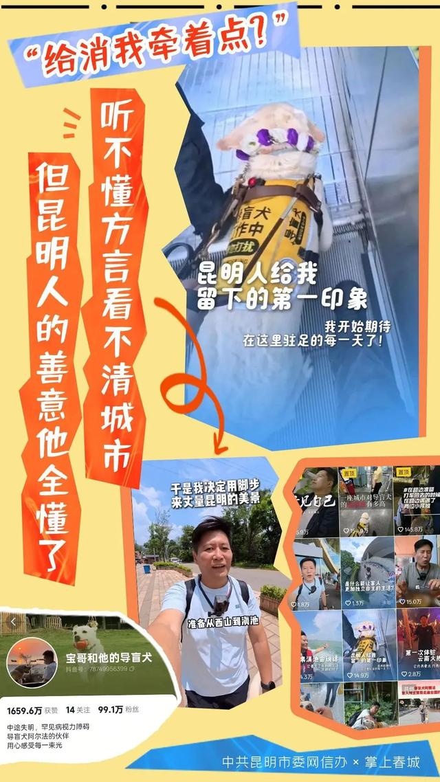 昆明这8家酒店可携导盲犬入住！网友：这波操作太有爱了~