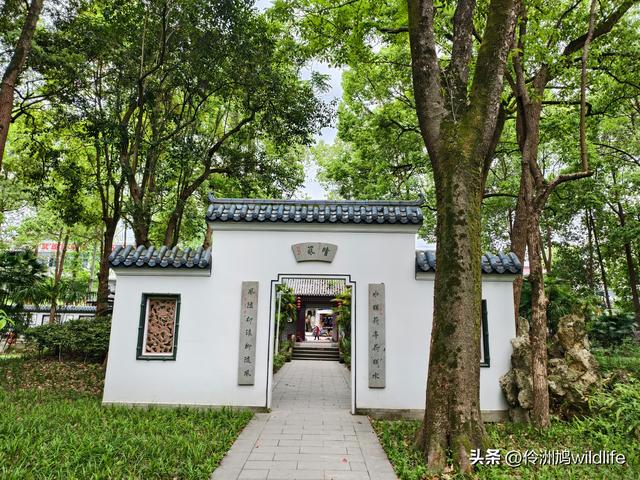 成都古镇（15）郫县唐昌古镇崇宁公园·大椿巷