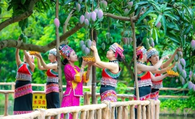 冬暖花开游云南丨玉溪冬日的幸福旅程