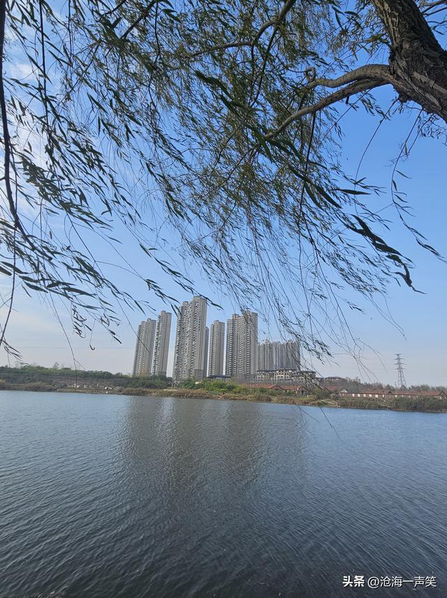 塞上江南，美丽水乡，黄水河畔，天地水和谐共生，共长一色!