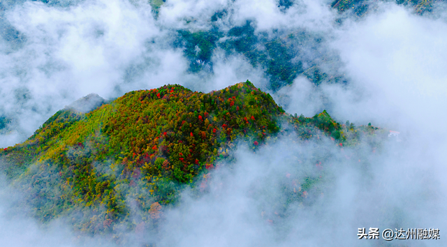 错过等一年！巴山大峡谷秋色刚开场，彩林已美成仙境！
