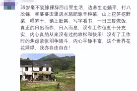 坦白局：80后，失业的大家都在做什么？普通人真的好难啊！图片