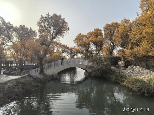 2025环南疆沙漠铁路背包自由行日记(4)——游览泽普金湖杨景区