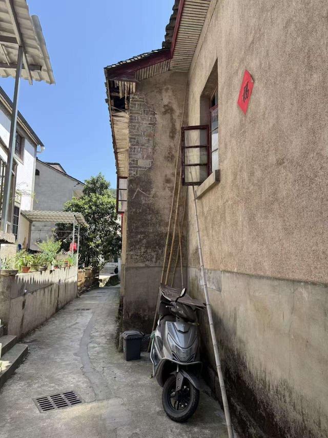 显后村：一个作家的采访掠影