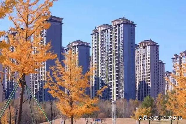 发现沈阳生态之美 | 美到窒息！沈阳赏秋地图发布