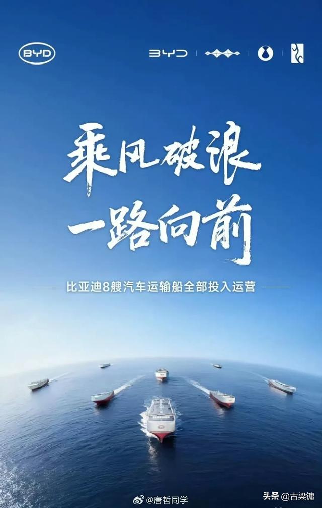 持续扩大领先态势，全球新能源绝对王者