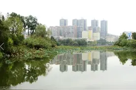 老人喜欢捡垃圾，不是穷，而是以下几种情况图片