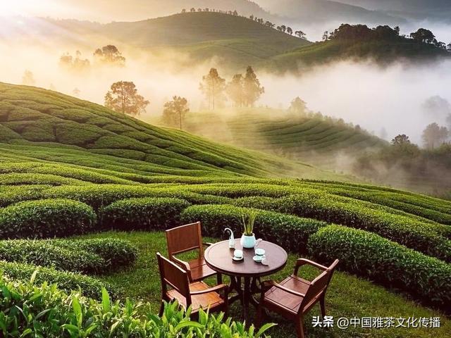 三江烟雨一壶茶