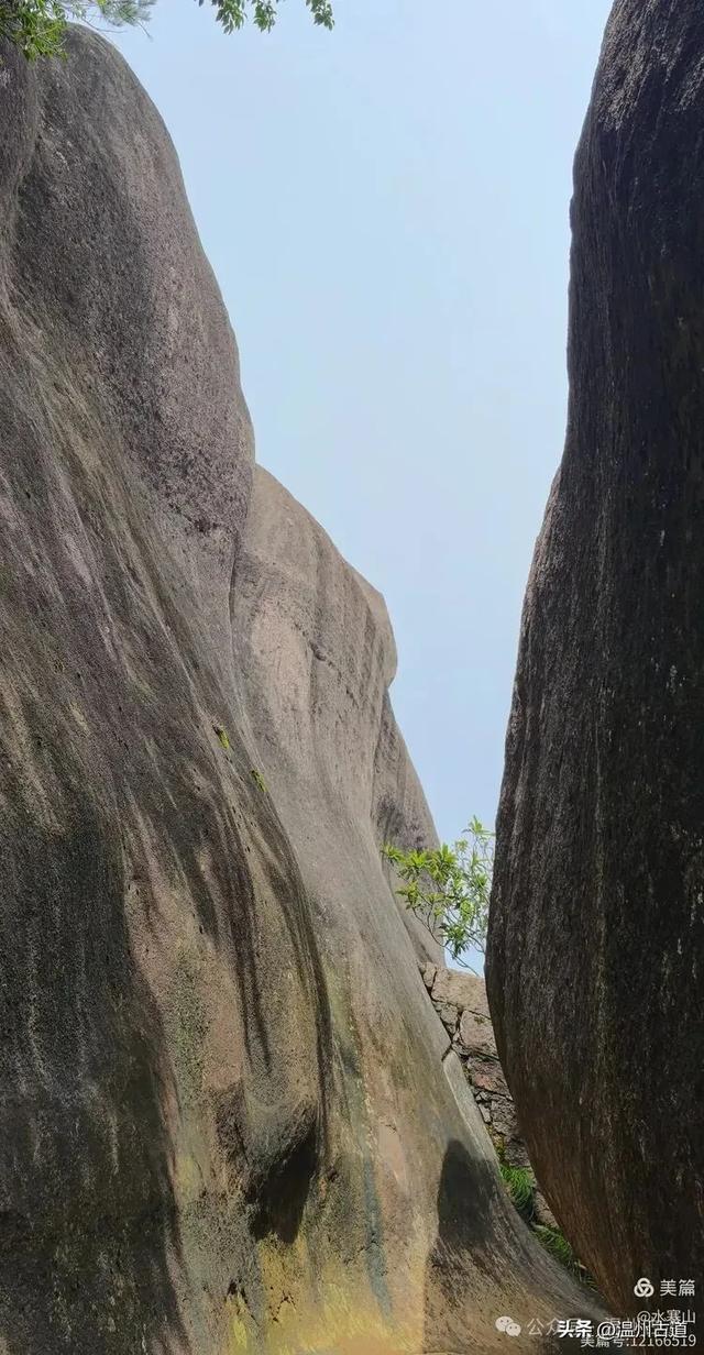 “浙南之巅”竟藏着以奇石景观著称的微缩版三清山，目前免费玩！