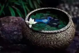 形意拳《内功经》图解图片