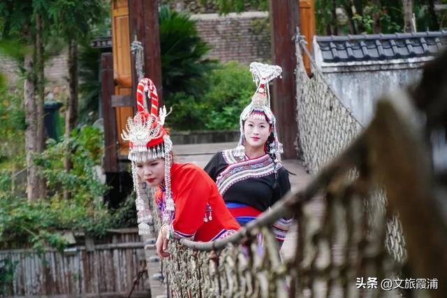 每日一村:霞坪村——荷香漫谷的畲乡秘境,诗画交织的夏日桃源