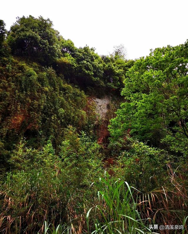 红韵翠谷，桃坪行吟