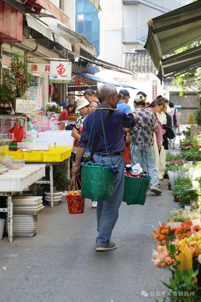 苏州花鸟市场里藏着滚滚红尘