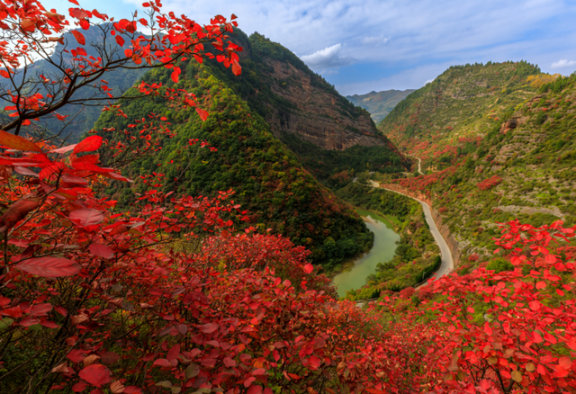秋日限定 | 两当：把秦岭秋韵装进红叶里
