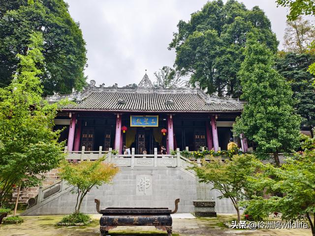 成都徒步（69）·彭州篇⑯法藏寺环线（桥断未走通）