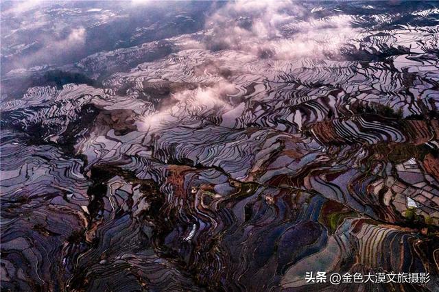 春日爆款!花季限定·2月8日/3月8日出发【花开滇境·七彩云南】8日