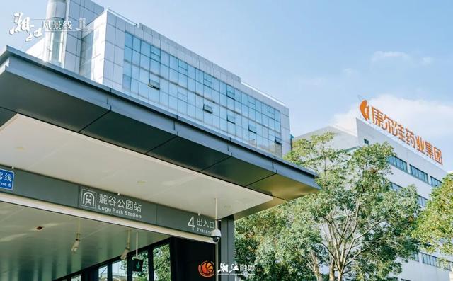 这样的桐梓坡，你一定没见过！