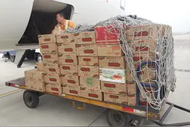 山西樱桃“搭乘”航班 从太原机场“飞”向全国各地图片