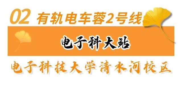 走！坐地铁，赏银杏！