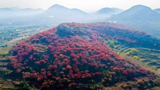 @枣庄人，是时候去这些地方赏红叶啦！