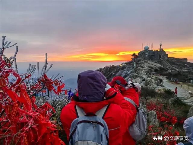超震撼！气温骤降 泰山现秋日雾凇景观