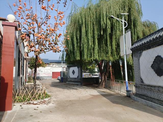 看了许世友指挥所