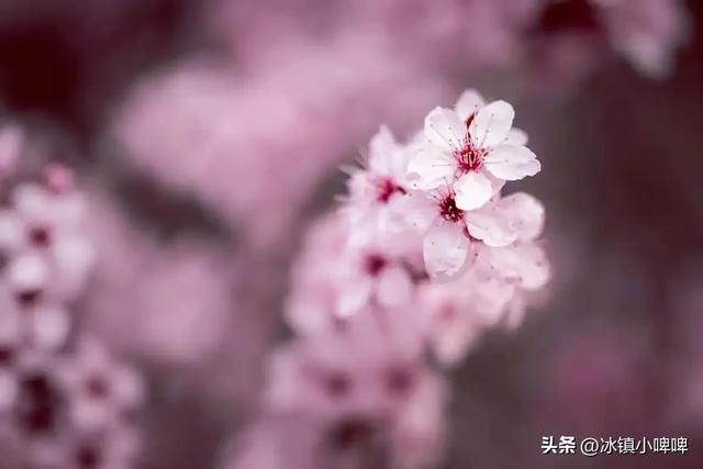 一个女人克不克夫，一眼识破：克夫的女人有这五个特征
